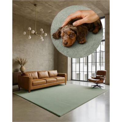 TEXMAXX Weicher Kurzflor Teppich Wohnzimmer mit rutschhemmender Rückseite 140 x 200 cm Modern für Flur, Esszimmer und als Schlafzimmer Teppich in Hellgrün Waschbar bis 30 Grad TEXMAXX Weicher Kurzflor Teppich Wohnzimmer mit rutschhemmender Rückseite 140 x 200 cm Modern für Flur, Esszimmer und als Schlafzimmer Teppich in Hellgrün Waschbar bis 30 Grad