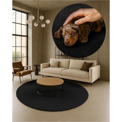 TEXMAXX Weicher Kurzflor Teppich Wohnzimmer mit rutschhemmender Rückseite Rund 160 x 160 cm Modern für Flur, Esszimmer und als Schlafzimmer Teppich in Schwarz Waschbar bis 30 Grad TEXMAXX Weicher Kurzflor Teppich Wohnzimmer mit rutschhemmender Rückseite Rund 160 x 160 cm Modern für Flur, Esszimmer und als Schlafzimmer Teppich in Schwarz Waschbar bis 30 Grad