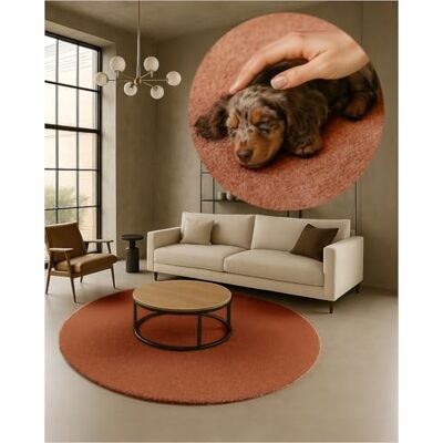 TEXMAXX Weicher Kurzflor Teppich Wohnzimmer mit rutschhemmender Rückseite Rund 160 x 160 cm Modern für Flur, Esszimmer und als Schlafzimmer Teppich in Kupfer Waschbar bis 30 Grad TEXMAXX Weicher Kurzflor Teppich Wohnzimmer mit rutschhemmender Rückseite Rund 160 x 160 cm Modern für Flur, Esszimmer und als Schlafzimmer Teppich in Kupfer Waschbar bis 30 Grad