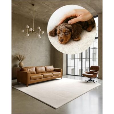 TEXMAXX Weicher Kurzflor Teppich Wohnzimmer mit rutschhemmender Rückseite 80 x 150 cm Modern für Flur, Esszimmer und als Schlafzimmer Teppich in Cremeweiß Waschbar bis 30 Grad TEXMAXX Weicher Kurzflor Teppich Wohnzimmer mit rutschhemmender Rückseite 80 x 150 cm Modern für Flur, Esszimmer und als Schlafzimmer Teppich in Cremeweiß Waschbar bis 30 Grad