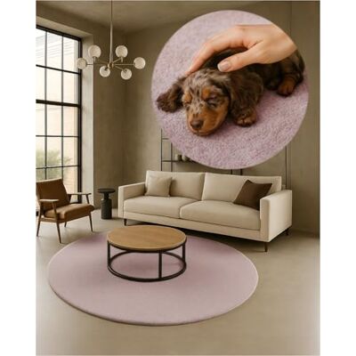 TEXMAXX Weicher Kurzflor Teppich Wohnzimmer mit rutschhemmender Rückseite Rund 180 x 180 cm Modern für Flur, Esszimmer und als Schlafzimmer Teppich in Pastel-Rosa Waschbar bis 30 Grad TEXMAXX Weicher Kurzflor Teppich Wohnzimmer mit rutschhemmender Rückseite Rund 180 x 180 cm Modern für Flur, Esszimmer und als Schlafzimmer Teppich in Pastel-Rosa Waschbar bis 30 Grad