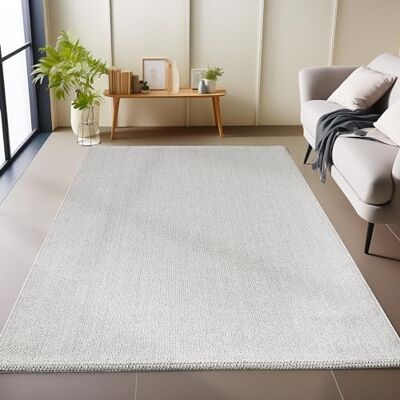 Carpetsale24 Teppich Läufer 60x100 cm Silber, Einfarbig & Pflegeleicht, Schlingenflor für Flur oder Eingangsbereich, Weich & Modern, Teppich für kleine Räume Carpetsale24 Teppich Läufer 60x100 cm Silber, Einfarbig & Pflegeleicht, Schlingenflor für Flur oder Eingangsbereich, Weich & Modern, Teppich für kleine Räume