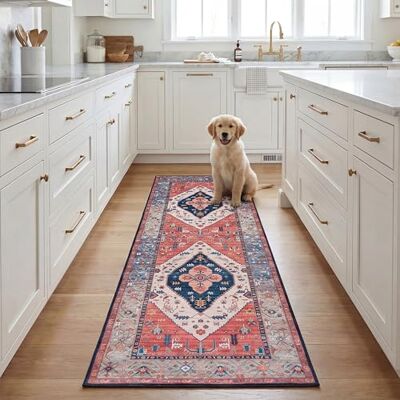 Safavieh Traditionell Teppich für Rug Ideal für stark frequentierte Bereiche Maschinenwaschbar und rutschfest Tucson Collection, Kurzer Flor, in Rost und Blau, 76 X 244 cm Safavieh Traditionell Teppich für Rug Ideal für stark frequentierte Bereiche Maschinenwaschbar und rutschfest Tucson Collection, Kurzer Flor, in Rost und Blau, 76 X 244 cm
