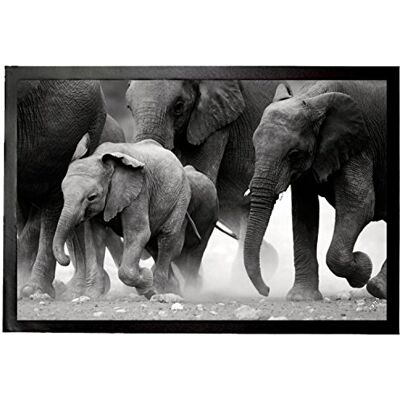 1art1 Elefanten Elefantenherde, Namibia, S/W Fußmatte Dekomatte Innenbereich Design Türmatte 60x40 cm 1art1 Elefanten Elefantenherde, Namibia, S/W Fußmatte Dekomatte Innenbereich Design Türmatte 60x40 cm