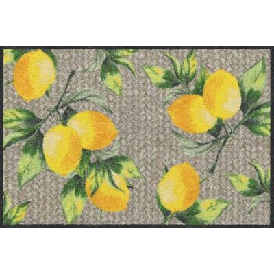 Salonloewe Fussmatte Lemons Pure I Schmutzfangmatte & Fußabtreter für Innen 50 x 75 cm Salonloewe Fussmatte Lemons Pure I Schmutzfangmatte & Fußabtreter für Innen 50 x 75 cm