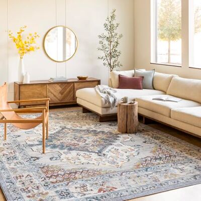 Livabliss Surya Casablanca Vintage Teppich groß Teppich Wohnzimmer 200x274 cm, Esszimmer, Schlafzimmer Orientalischer Teppich Boho Style Carpet Living Room, Bunter Muster, Taupe, Blau und Grau Livabliss Surya Casablanca Vintage Teppich groß Teppich Wohnzimmer 200x274 cm, Esszimmer, Schlafzimmer Orientalischer Teppich Boho Style Carpet Living Room, Bunter Muster, Taupe, Blau und Grau