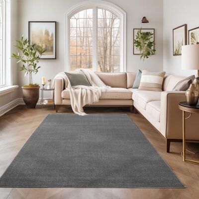 SIMPEX Teppich 140x200 cm Grau, Kurzflor, Einfarbig, Modern, Rechteckig, Pflegeleicht, rutschfest, Bodenteppich für Wohnzimmer, Schlafzimmer, Esszimmer SIMPEX Teppich 140x200 cm Grau, Kurzflor, Einfarbig, Modern, Rechteckig, Pflegeleicht, rutschfest, Bodenteppich für Wohnzimmer, Schlafzimmer, Esszimmer