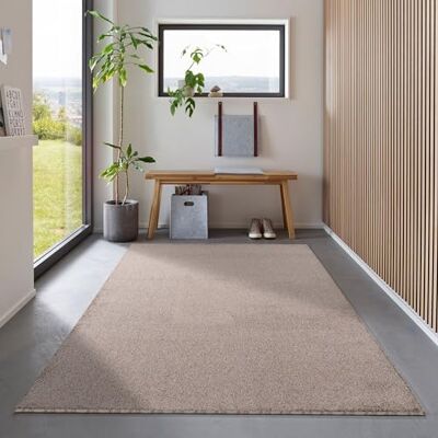 Carpetsale24 Teppich 120x170 cm Beige, Kurzflor, Einfarbig, Modern, Rechteckig, Rutschhemmend, Pflegeleicht, Teppichboden für Wohnzimmer, Schlafzimmer, Essbereich Carpetsale24 Teppich 120x170 cm Beige, Kurzflor, Einfarbig, Modern, Rechteckig, Rutschhemmend, Pflegeleicht, Teppichboden für Wohnzimmer, Schlafzimmer, Essbereich