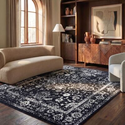 Safavieh Teppich 235 x 305 cm Adirondack Collection Groß Transitional Design, Schwarz & Elfenbein, Pflegeleichte Synthetikmischung, Ideal für Wohnzimmer, Schlafzimmer, Büro (ADR109Z) Safavieh Teppich 235 x 305 cm Adirondack Collection Groß Transitional Design, Schwarz & Elfenbein, Pflegeleichte Synthetikmischung, Ideal für Wohnzimmer, Schlafzimmer, Büro (ADR109Z)