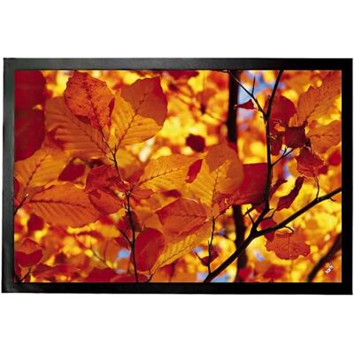 1art1 Bäume Goldenes Herbstlaub Fußmatte Dekomatte Innenbereich Design Türmatte 60x40 cm 1art1 Bäume Goldenes Herbstlaub Fußmatte Dekomatte Innenbereich Design Türmatte 60x40 cm
