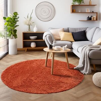 SIMPEX Shaggy Hochflor Teppich, 160 cm Rund, Terrakotta, weich, flauschig, modern, einfarbig, Für Wohnzimmer oder Schlafzimmer, für Wohnzimmer Schlafzimmer Flur SIMPEX Shaggy Hochflor Teppich, 160 cm Rund, Terrakotta, weich, flauschig, modern, einfarbig, Für Wohnzimmer oder Schlafzimmer, für Wohnzimmer Schlafzimmer Flur