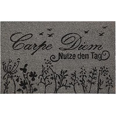 Bestlivings Fußmatte Kokos Schuhabtreter 40x60cm in grau (Carpe Diem Bunt), Fußabtreter Schmutzfangmatte Türmatte Bodenmatte Läufer Teppich Türvorleger Abtreter Bestlivings Fußmatte Kokos Schuhabtreter 40x60cm in grau (Carpe Diem Bunt), Fußabtreter Schmutzfangmatte Türmatte Bodenmatte Läufer Teppich Türvorleger Abtreter