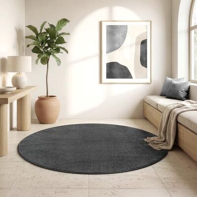 SANAT Kurzflor Teppich Wohnzimmer Uni Modern Teppiche fürs Schlafzimmer, Arbeitszimmer, Büro, Flur, Kinderzimmer und Küche Dunkelgrau, 80 cm Rund SANAT Kurzflor Teppich Wohnzimmer Uni Modern Teppiche fürs Schlafzimmer, Arbeitszimmer, Büro, Flur, Kinderzimmer und Küche Dunkelgrau, 80 cm Rund