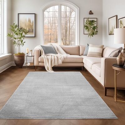 SIMPEX Teppich 120x170 cm Hellgrau, Kurzflor, Einfarbig, Modern, Rechteckig, Rutschhemmend, Pflegeleicht, Teppichboden für Wohnzimmer, Schlafzimmer, Essbereich SIMPEX Teppich 120x170 cm Hellgrau, Kurzflor, Einfarbig, Modern, Rechteckig, Rutschhemmend, Pflegeleicht, Teppichboden für Wohnzimmer, Schlafzimmer, Essbereich
