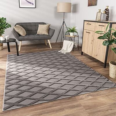 Paco Home Teppich Wohnzimmer Schlafzimmer Kurzflor Modernes Skandinavisches Muster Rauten Motiv Flauschig 3D Grau Anthrazit, Grösse:230x340 cm, Farbe:Anthrazit Paco Home Teppich Wohnzimmer Schlafzimmer Kurzflor Modernes Skandinavisches Muster Rauten Motiv Flauschig 3D Grau Anthrazit, Grösse:230x340 cm, Farbe:Anthrazit