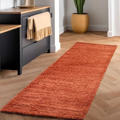 SIMPEX Shaggy Hochflor Teppich, 60x110 cm, Terrakotta, weich, flauschig, modern, einfarbig, Für Flur oder kleine Räume, für Wohnzimmer Schlafzimmer Flur SIMPEX Shaggy Hochflor Teppich, 60x110 cm, Terrakotta, weich, flauschig, modern, einfarbig, Für Flur oder kleine Räume, für Wohnzimmer Schlafzimmer Flur