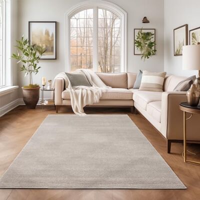 SIMPEX Teppich 120x170 cm Creme, Kurzflor, Einfarbig, Modern, Rechteckig, Rutschhemmend, Pflegeleicht, Teppichboden für Wohnzimmer, Schlafzimmer, Essbereich SIMPEX Teppich 120x170 cm Creme, Kurzflor, Einfarbig, Modern, Rechteckig, Rutschhemmend, Pflegeleicht, Teppichboden für Wohnzimmer, Schlafzimmer, Essbereich