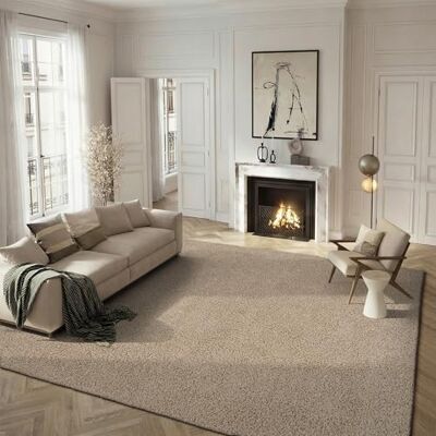 Safavieh Zottelig Teppich für Wohnzimmer, Esszimmer, Schlafzimmer Athens Shag Collection, Hoher Flor, Beige, 183 X 274 cm Safavieh Zottelig Teppich für Wohnzimmer, Esszimmer, Schlafzimmer Athens Shag Collection, Hoher Flor, Beige, 183 X 274 cm