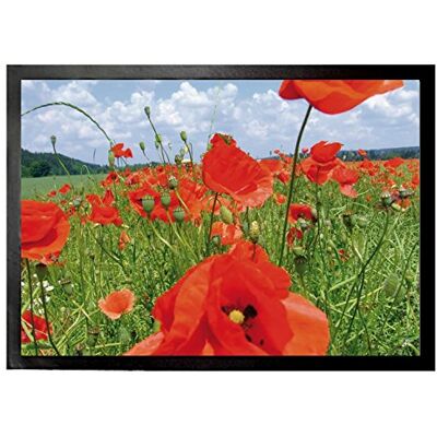 1art1 Blumen Mohnblumenfeld Fußmatte Dekomatte Innenbereich Design Türmatte 70x50 cm 1art1 Blumen Mohnblumenfeld Fußmatte Dekomatte Innenbereich Design Türmatte 70x50 cm