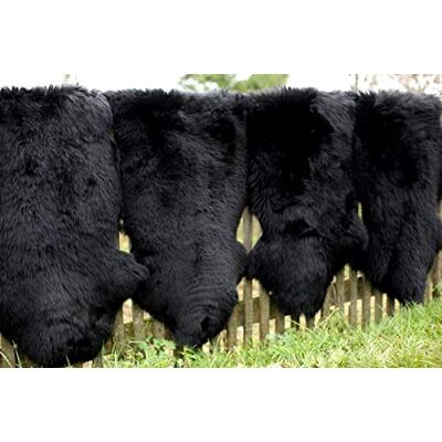 Hollert Lammfell Merino Schwarz Schaffell Läufer Teppich Echtfell waschbar Sitzunterlage Größe 100-110 Hollert Lammfell Merino Schwarz Schaffell Läufer Teppich Echtfell waschbar Sitzunterlage Größe 100-110