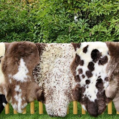 Hollert - Englisch gescheckt - Größe 130-140 - Lambskin Hollert - Englisch gescheckt - Größe 130-140 - Lambskin