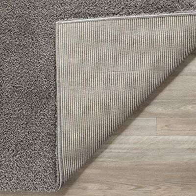 Safavieh Robyn - Polyester - Grau - 152x91 cm - Teppich Safavieh Robyn - Polyester - Grau - 152x91 cm - Teppich