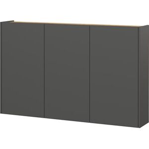 GERMANIA DIE MÖBELMACHER Germania Schuhschrank 1346-549 GW-Libbiano, in Graphit/Navarra-Eiche-Nb., mit geringer Tiefe, 138 x 87 x 25 cm (BxHxT) GERMANIA DIE MÖBELMACHER Germania Schuhschrank 1346-549 GW-Libbiano, in Graphit/Navarra-Eiche-Nb., mit geringer Tiefe, 138 x 87 x 25 cm (BxHxT)
