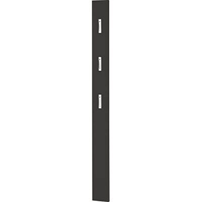 GERMANIA DIE MÖBELMACHER Germania Garderobenpaneel 3348-547, mit DREI ausklappbaren Kleiderhaken aus Metall, in Anthrazit, 15 x 170 x 3 cm (BxHxT) GERMANIA DIE MÖBELMACHER Germania Garderobenpaneel 3348-547, mit DREI ausklappbaren Kleiderhaken aus Metall, in Anthrazit, 15 x 170 x 3 cm (BxHxT)