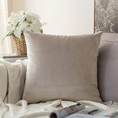 MIULEE Kissenbezug 60x60 cm samtkissen couchkissen Champagner Kissenhülle Dekorative Dekokissen Sofakissen Wurfkissenbezug mit Verstecktem Reißverschluss Sofa Schlafzimmer MIULEE Kissenbezug 60x60 cm samtkissen couchkissen Champagner Kissenhülle Dekorative Dekokissen Sofakissen Wurfkissenbezug mit Verstecktem Reißverschluss Sofa Schlafzimmer