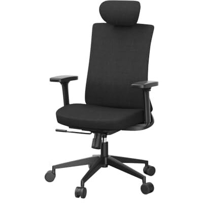 Ergolutions Bürostuhl ergonomisch – VITA Schreibtischstuhl – Kopfstütze & Lordosenstütze – rückenschonend – 5 Jahre Garantie Ergolutions Bürostuhl ergonomisch – VITA Schreibtischstuhl – Kopfstütze & Lordosenstütze – rückenschonend – 5 Jahre Garantie
