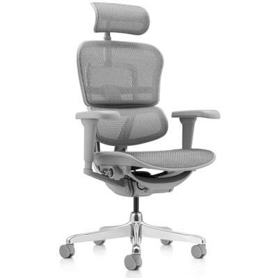 hjh OFFICE Bürostuhl ergonomisch ERGOHUMAN Ultra G GEN2 Originales Design, Bürosessel mit Flexibler Lendenwirbelstütze, Netzbespannung, Grau hjh OFFICE Bürostuhl ergonomisch ERGOHUMAN Ultra G GEN2 Originales Design, Bürosessel mit Flexibler Lendenwirbelstütze, Netzbespannung, Grau