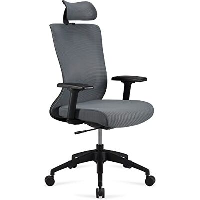 Amazon Ergonomischer Chefsessel, hohe Rückenlehne, Schreibtischstuhl, Bürostuhl, verstellbare Kopfstütze, Armlehnen und Lendenwirbelstütze, 63 x 59,5 x 124 cm, grau Amazon Ergonomischer Chefsessel, hohe Rückenlehne, Schreibtischstuhl, Bürostuhl, verstellbare Kopfstütze, Armlehnen und Lendenwirbelstütze, 63 x 59,5 x 124 cm, grau
