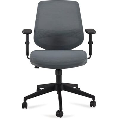 Amazon Ergonomischer Bürostuhl, Schreibtischstuhl mit verstellbaren Armlehnen, Lendenwirbelstütze, Chefsessel aus Mesh-Gewebe, rückenfreundlich, einfache Montage, 63.5 x 58.4 x 91.4 cm, grau Amazon Ergonomischer Bürostuhl, Schreibtischstuhl mit verstellbaren Armlehnen, Lendenwirbelstütze, Chefsessel aus Mesh-Gewebe, rückenfreundlich, einfache Montage, 63.5 x 58.4 x 91.4 cm, grau