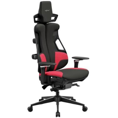 Ergolutions Gaming Stuhl ergonomisch – Gaming Chair mit Lordosenstütze & Kopfstütze – verstellbare Armlehnen – 7 Jahre Garantie Ergolutions Gaming Stuhl ergonomisch – Gaming Chair mit Lordosenstütze & Kopfstütze – verstellbare Armlehnen – 7 Jahre Garantie