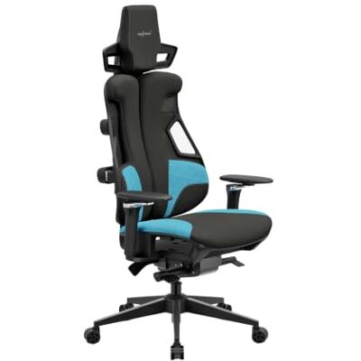 Ergolutions Gaming Stuhl ergonomisch – Gaming Chair mit Lordosenstütze & Kopfstütze – verstellbare Armlehnen – 7 Jahre Garantie Ergolutions Gaming Stuhl ergonomisch – Gaming Chair mit Lordosenstütze & Kopfstütze – verstellbare Armlehnen – 7 Jahre Garantie