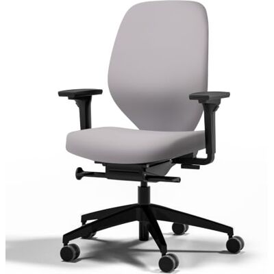 Assmann Bürostuhl ergonomisch, TÜV-Zertifiziert, automatische Sitzanpassung Drehstuhl mit Polsterrücken ohne Kopfstütze, individuell Anpassbar mit 4D-Armlehne, automatische Sitzanpassung Hellgrau Assmann Bürostuhl ergonomisch, TÜV-Zertifiziert, automatische Sitzanpassung Drehstuhl mit Polsterrücken ohne Kopfstütze, individuell Anpassbar mit 4D-Armlehne, automatische Sitzanpassung Hellgrau