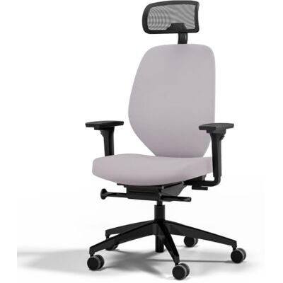 Assmann Bürostuhl ergonomisch, TÜV-Zertifiziert, automatische Sitzanpassung Drehstuhl mit Polsterrücken und Kopfstütze, individuell Anpassbar mit 4D-Armlehne, automatische Sitzanpassung Hellgrau Assmann Bürostuhl ergonomisch, TÜV-Zertifiziert, automatische Sitzanpassung Drehstuhl mit Polsterrücken und Kopfstütze, individuell Anpassbar mit 4D-Armlehne, automatische Sitzanpassung Hellgrau