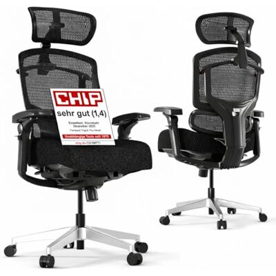 FlexiSpot ErgoX Pro Ergonomischer Bürostuhl Schwarz 12-stufiger Höhenverstellung, 7D-Armlehnen, 5D-Lendenstütze, 4D-Kopfstütze, 250-kg Belastbarkeit FlexiSpot ErgoX Pro Ergonomischer Bürostuhl Schwarz 12-stufiger Höhenverstellung, 7D-Armlehnen, 5D-Lendenstütze, 4D-Kopfstütze, 250-kg Belastbarkeit