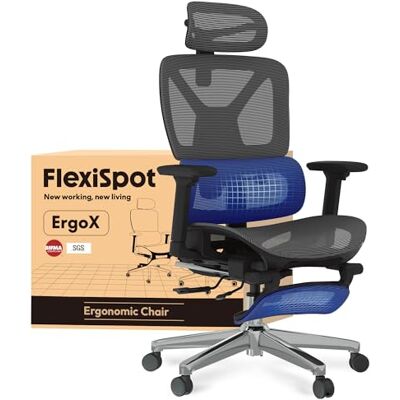 FlexiSpot Ergonomischer Bürostuhl ErgoX Lite Grau 3D-Armlehnen, 3D-Kopfstütze, 5D-verstellbare Rückenlehne, Atmungsaktiver Sitz Belastbar bis 130 kg Arbeitsstuhl FlexiSpot Ergonomischer Bürostuhl ErgoX Lite Grau 3D-Armlehnen, 3D-Kopfstütze, 5D-verstellbare Rückenlehne, Atmungsaktiver Sitz Belastbar bis 130 kg Arbeitsstuhl