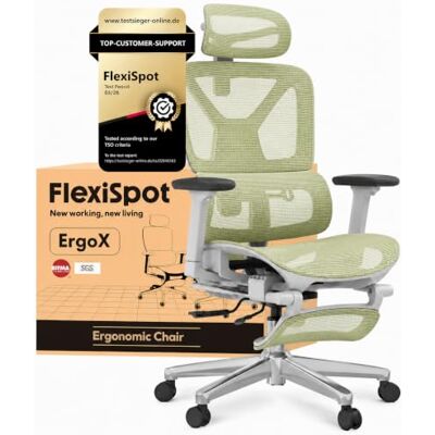 FlexiSpot Ergonomischer Bürostuhl ErgoX Grün 3D-Armlehnen, 3D-Kopfstütze, 5D-verstellbare Rückenlehne, Atmungsaktiver Sitz Belastbar bis 136 kg Arbeitsstuhl FlexiSpot Ergonomischer Bürostuhl ErgoX Grün 3D-Armlehnen, 3D-Kopfstütze, 5D-verstellbare Rückenlehne, Atmungsaktiver Sitz Belastbar bis 136 kg Arbeitsstuhl