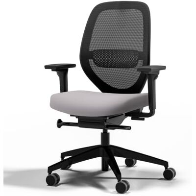 Assmann Bürostuhl ergonomisch, TÜV-Zertifiziert, automatische Sitzanpassung Drehstuhl mit Netzrücken ohne Kopfstütze, individuell Anpassbar mit 4D-Armlehne, automatische Sitzanpassung Hellgrau Assmann Bürostuhl ergonomisch, TÜV-Zertifiziert, automatische Sitzanpassung Drehstuhl mit Netzrücken ohne Kopfstütze, individuell Anpassbar mit 4D-Armlehne, automatische Sitzanpassung Hellgrau