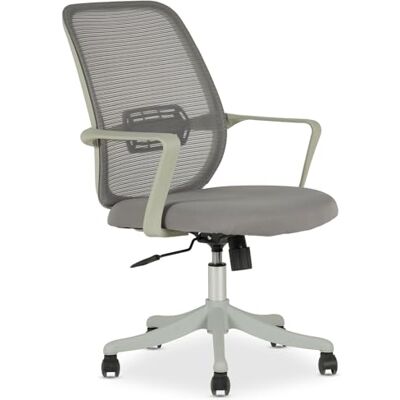 IDIMEX Bürodrehstuhl MOLLIS höhenverstellbar mit Armlehnen in weiß & Mesh-Bezug in grau Ergonomisch gepolstert & atmungsaktive Rückenlehne, Drehstuhl mit Rollen für Harte & weiche Böden IDIMEX Bürodrehstuhl MOLLIS höhenverstellbar mit Armlehnen in weiß & Mesh-Bezug in grau Ergonomisch gepolstert & atmungsaktive Rückenlehne, Drehstuhl mit Rollen für Harte & weiche Böden