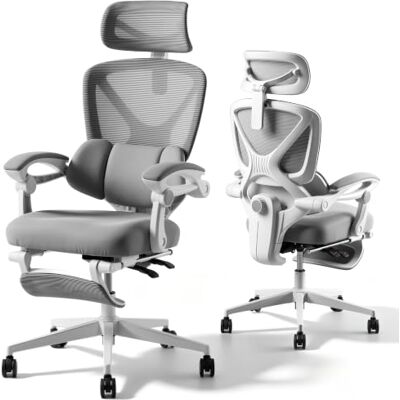 FlexiSpot TriCore Ergonomischer Bürostuhl mit Fußstütze, X-förmiger Schreibtischstuhl mit 135°-Neigung, Gekoppelte Armlehnen mit zonenweise Einstellbarer Lendenstütze, 3D-Kopfstütze, Hellgrau FlexiSpot TriCore Ergonomischer Bürostuhl mit Fußstütze, X-förmiger Schreibtischstuhl mit 135°-Neigung, Gekoppelte Armlehnen mit zonenweise Einstellbarer Lendenstütze, 3D-Kopfstütze, Hellgrau