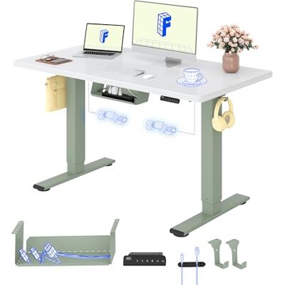 FlexiSpot Höhenverstellbarer Schreibtisch elektrisch, Doppelmotor 120x80 cm 25 mm einteilige Tischplatte, Kabelmanagement & Memory-Funktion,ergonomischer Büro-&Computertisch,elektrisch höhenverstellbar FlexiSpot Höhenverstellbarer Schreibtisch elektrisch, Doppelmotor 120x80 cm 25 mm einteilige Tischplatte, Kabelmanagement & Memory-Funktion,ergonomischer Büro-&Computertisch,elektrisch höhenverstellbar