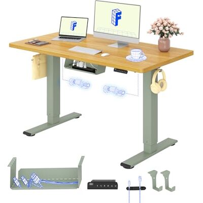 FlexiSpot Höhenverstellbarer Schreibtisch elektrisch, Doppelmotor 120x60 cm 25 mm einteilige Tischplatte, Kabelmanagement & Memory-Funktion,ergonomischer Büro-&Computertisch,elektrisch höhenverstellbar FlexiSpot Höhenverstellbarer Schreibtisch elektrisch, Doppelmotor 120x60 cm 25 mm einteilige Tischplatte, Kabelmanagement & Memory-Funktion,ergonomischer Büro-&Computertisch,elektrisch höhenverstellbar