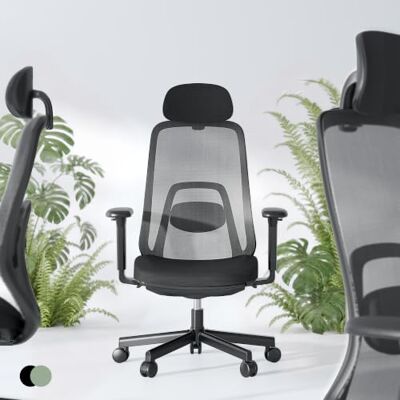 FlexiSpot Balanso Ergonomischer Bürostuhl mit Dynamic Balance Mechanik und Fußstütze, Designer-Design, 3D Armlehnen, adaptiver Lendenstütze, 0-Formaldehyd Sitzkissen für Zuhause, Glanzschwarz FlexiSpot Balanso Ergonomischer Bürostuhl mit Dynamic Balance Mechanik und Fußstütze, Designer-Design, 3D Armlehnen, adaptiver Lendenstütze, 0-Formaldehyd Sitzkissen für Zuhause, Glanzschwarz