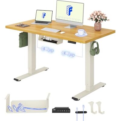 FlexiSpot Höhenverstellbarer Schreibtisch elektrisch, Doppelmotor 120x60 cm 25 mm einteilige Tischplatte, Kabelmanagement & Memory-Funktion,ergonomischer Büro-&Computertisch,elektrisch höhenverstellbar FlexiSpot Höhenverstellbarer Schreibtisch elektrisch, Doppelmotor 120x60 cm 25 mm einteilige Tischplatte, Kabelmanagement & Memory-Funktion,ergonomischer Büro-&Computertisch,elektrisch höhenverstellbar