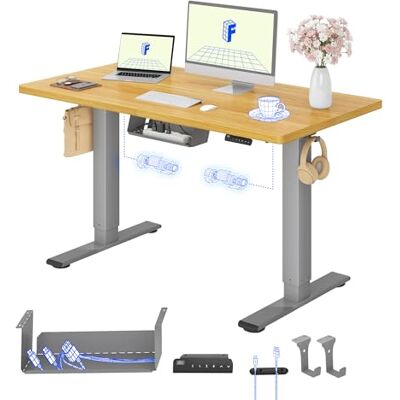 FlexiSpot Höhenverstellbarer Schreibtisch elektrisch, Doppelmotor 120x60 cm 25 mm einteilige Tischplatte, Kabelmanagement & Memory-Funktion,ergonomischer Büro-&Computertisch,elektrisch höhenverstellbar FlexiSpot Höhenverstellbarer Schreibtisch elektrisch, Doppelmotor 120x60 cm 25 mm einteilige Tischplatte, Kabelmanagement & Memory-Funktion,ergonomischer Büro-&Computertisch,elektrisch höhenverstellbar