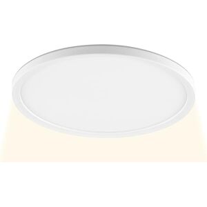 Brilliant LED Panel Lumaro rund Ø 29 cm ultraflache LED Deckenlampe in Weiß 18W, 2400 Lumen, 4000K neutralweiß energiesparende, moderne Deckenleuchte für Küche, Flur, Arbeits- & Wohnbereich Brilliant LED Panel Lumaro rund Ø 29 cm ultraflache LED Deckenlampe in Weiß 18W, 2400 Lumen, 4000K neutralweiß energiesparende, moderne Deckenleuchte für Küche, Flur, Arbeits- & Wohnbereich