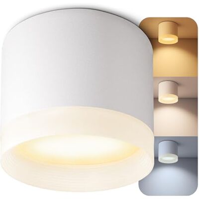 SSC-LUXon VORA LED Aufbaulampe rund weiß pulverbeschichtet Deckenleuchte Wohnzimmer mit Leuchtrand inkl. GX53 warmweiß 5W SSC-LUXon VORA LED Aufbaulampe rund weiß pulverbeschichtet Deckenleuchte Wohnzimmer mit Leuchtrand inkl. GX53 warmweiß 5W